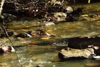 Property for sale in Pushmataha County, Oklahoma