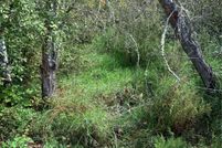 Property for sale in King County, Washington