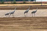 Property for sale in Allen County, Indiana