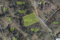 Undeveloped Land for sale in Calhoun County, Alabama