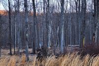 Property for sale in Luzerne County, Pennsylvania