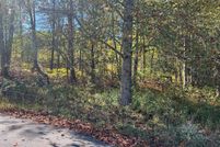 Undeveloped Land for sale in Towns County, Georgia