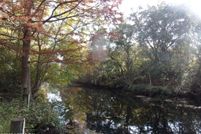 Undeveloped Land for sale in Putnam County, Florida