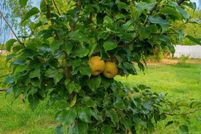 Property for sale in Sequoyah County, Oklahoma