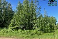 Undeveloped Land for sale in Fairbanks North Star Borough, Alaska