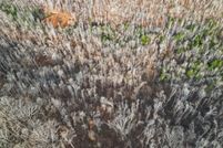 Undeveloped Land for sale in Humphreys County, Tennessee