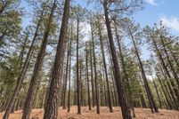 Property for sale in San Miguel County, New Mexico