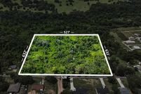 Undeveloped Land for sale in Lake County, Florida