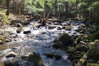 Undeveloped Land for sale in Grafton County, New Hampshire