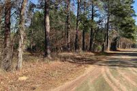 Undeveloped Land for sale in Panola County, Texas
