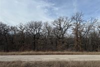 Undeveloped Land for sale in Wise County, Texas
