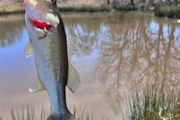 Property for sale in Bryan County, Oklahoma