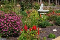 Property for sale in Spotsylvania County, Virginia