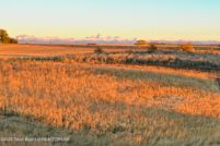 Property for sale in Fremont County, Idaho