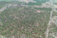 Undeveloped Land for sale in Clarke County, Alabama