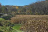 Undeveloped Land for sale in Goodhue County, Minnesota