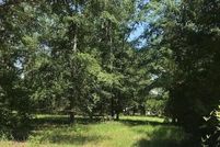 Undeveloped Land for sale in Barnwell County, South Carolina