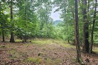 Property for sale in Grayson County, Virginia
