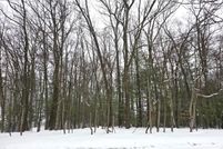 Undeveloped Land for sale in Lake County, Michigan