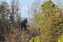 Property for sale in Appomattox County, Virginia