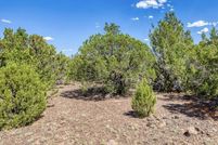 Undeveloped Land for sale in Apache County, Arizona