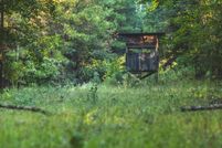 Undeveloped Land for sale in Simpson County, Mississippi