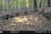 Property for sale in Marion County, Arkansas