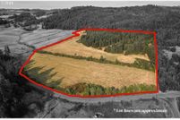 Undeveloped Land for sale in Lane County, Oregon