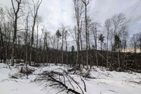 Undeveloped Land for sale in Windham County, Vermont