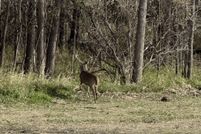 Property for sale in Columbia County, Wisconsin