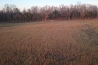 Property for sale in Ohio County, Kentucky