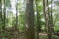 Property for sale in Tompkins County, New York