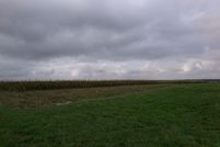 Property for sale in Warrick County, Indiana