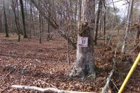 Undeveloped Land for sale in Cherokee County, Alabama