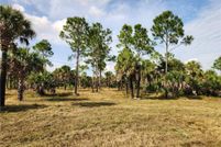Undeveloped Land for sale in Collier County, Florida