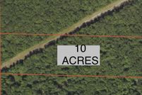 Undeveloped Land for sale in Oceana County, Michigan