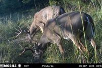 Property for sale in Miami County, Kansas