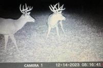 Property for sale in Bourbon County, Kansas