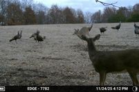 Farm Property for sale in Daviess County, Missouri