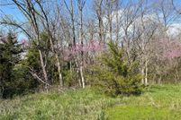 Farm Property for sale in Cass County, Missouri
