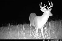 Undeveloped Land for sale in Howard County, Missouri