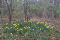 Property for sale in Benton County, Missouri