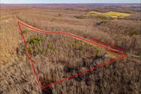 Undeveloped Land for sale in Wright County, Missouri