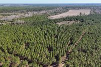 Farm Property for sale in Wayne County, Georgia