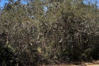 Property for sale in Clay County, Florida