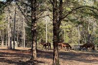 Farm Property for sale in Rusk County, Texas