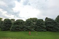 Residential Property for sale in Woodbury County, Iowa