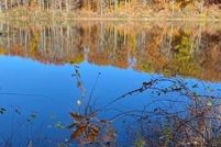 Undeveloped Land for sale in Litchfield County, Connecticut