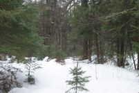 Undeveloped Land for sale in Price County, Wisconsin