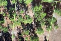 Undeveloped Land for sale in Bladen County, North Carolina